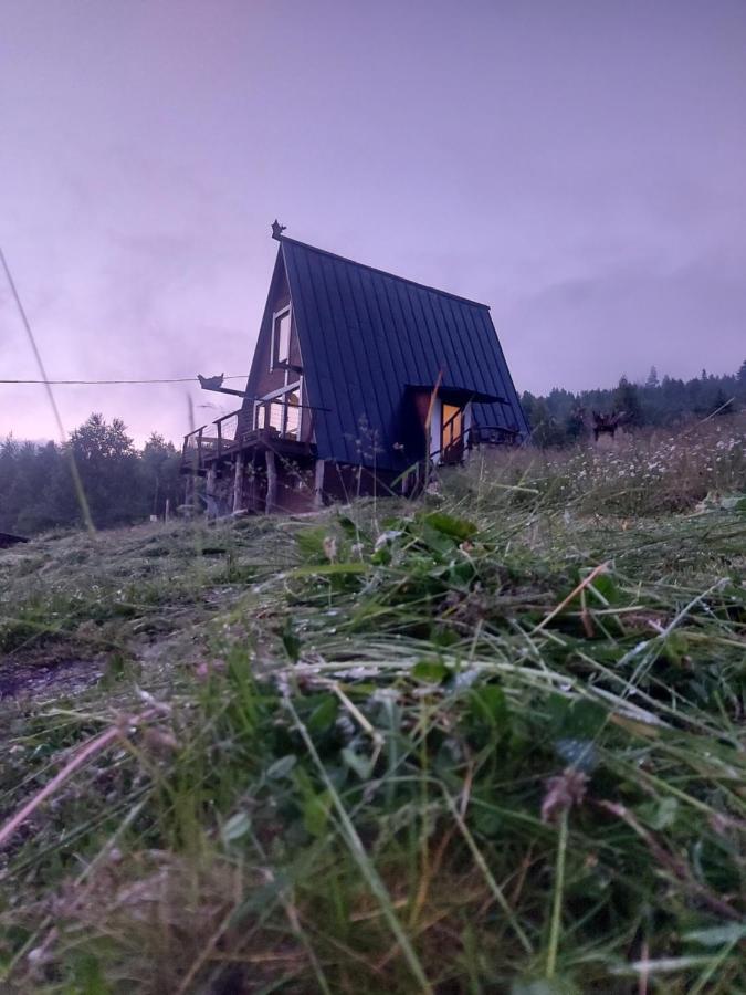 Oak House Apartman Poljanicja Kültér fotó